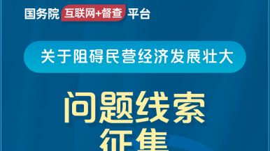 国产操奶国务院“互联网+督查”平台公开征集阻碍民营经济发展壮大问题线索